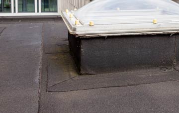 disadvantages of Campions flat roofs